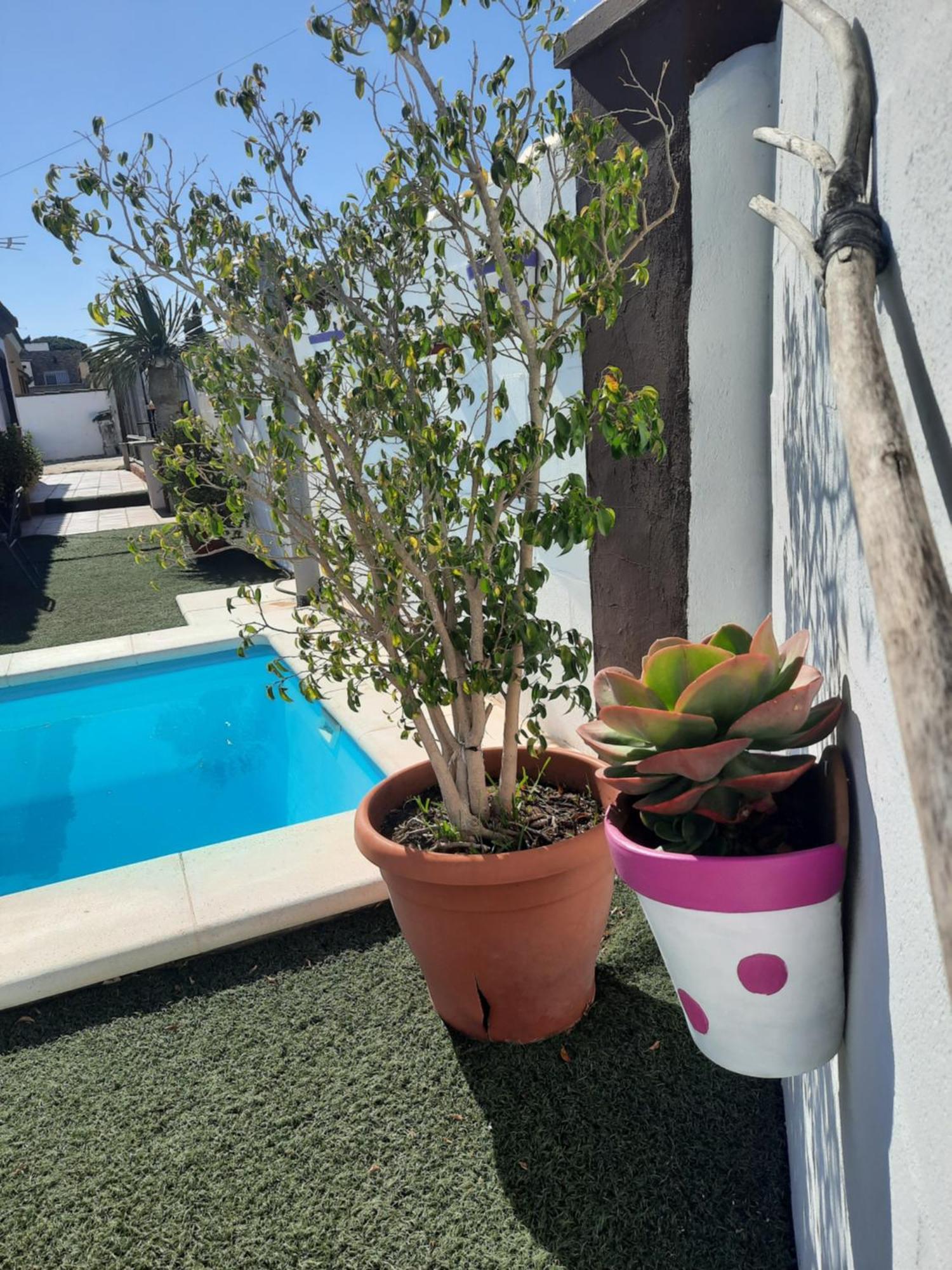 Vila Casa La Pepa Chiclana de la Frontera Exteriér fotografie